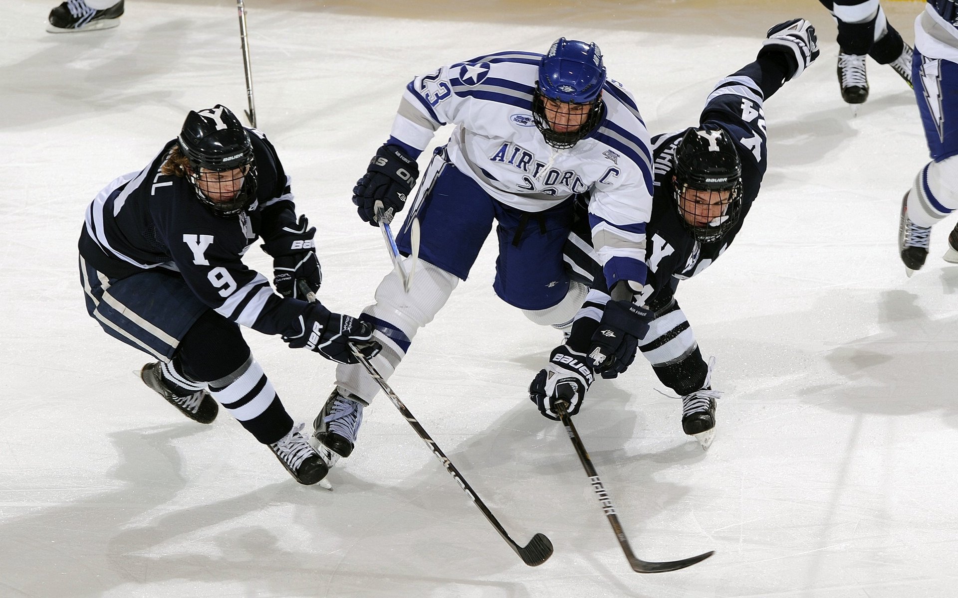 贝尔哈德·福特：高效的战术执行让全黑队进攻效率大幅提高，贝尔福特vs猿人